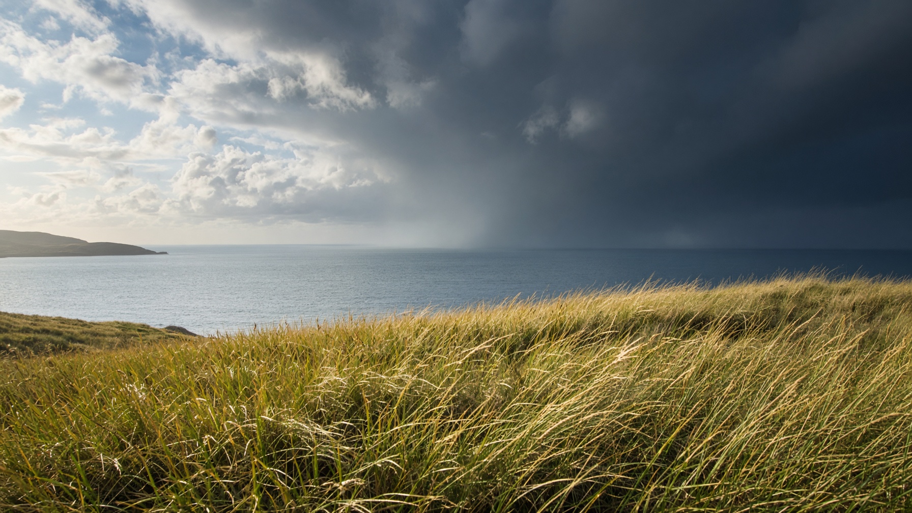 Solbelyst gress i forgrunnen, mørk storm over havet i det fjerne